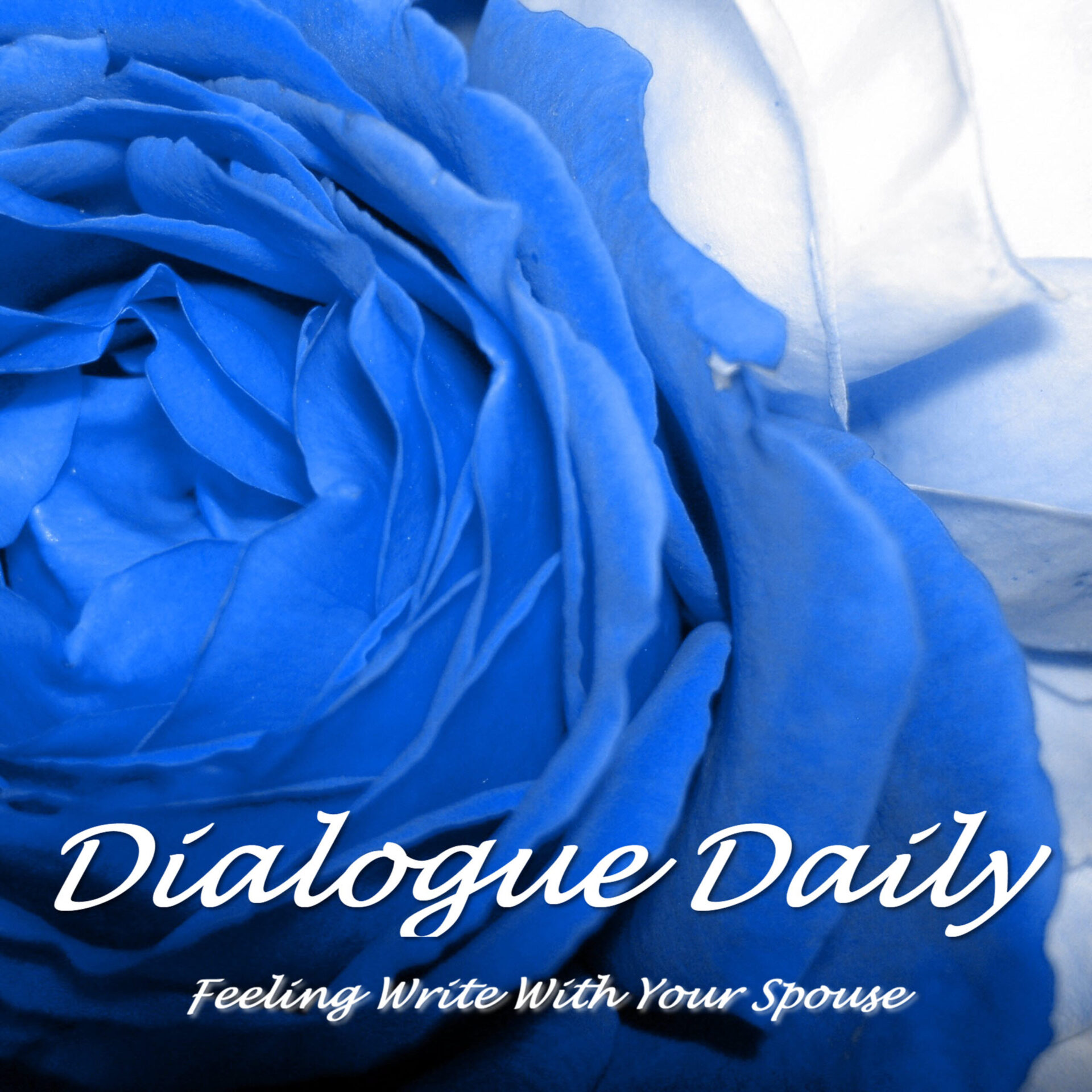 Dialogue Daily Logo